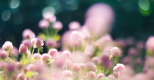 reduccion mamaria natural