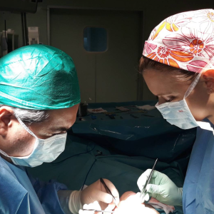 los mejores cirujanos plásticos en Alicante